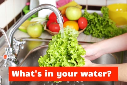 what's in your water - washing lettuce