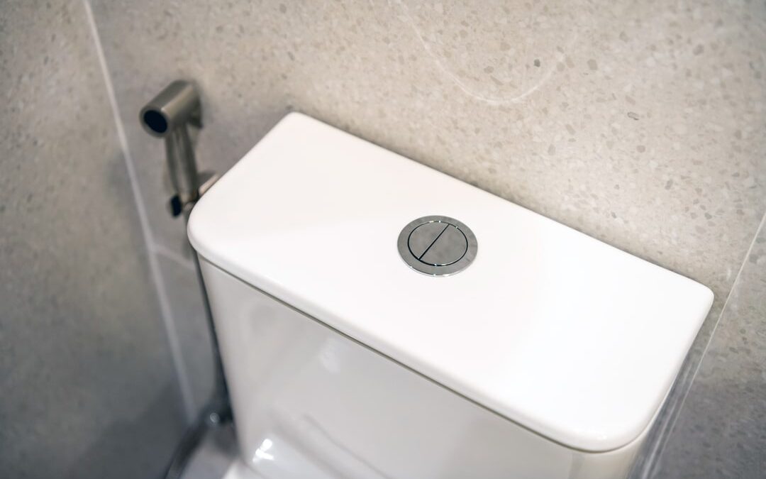 How to Convert Your Toilet to Dual-Flush