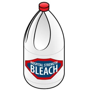 can bleach to kill drain flies