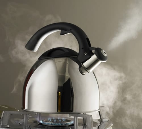 boiling water to kill drain flies