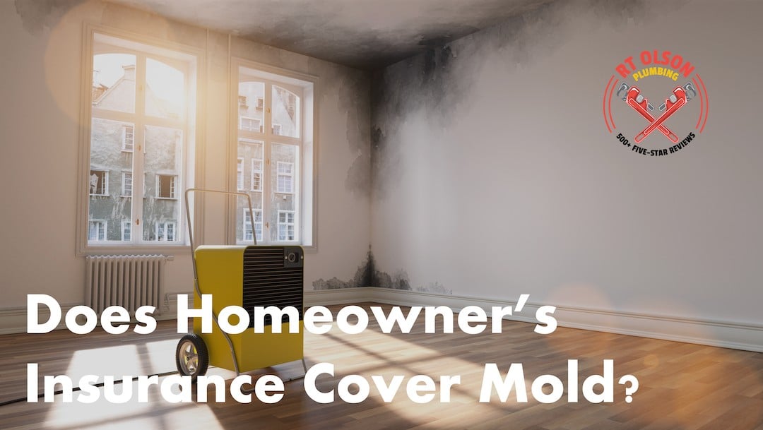 Does homeowner's insurance cover mold - featured image