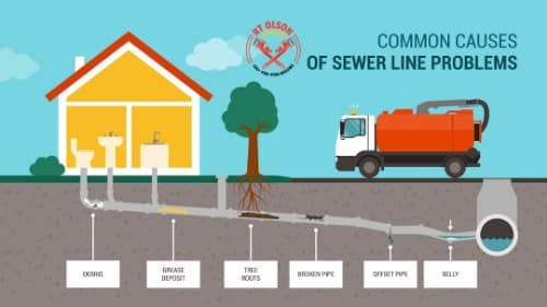 common causes of sewer line problems illustration
