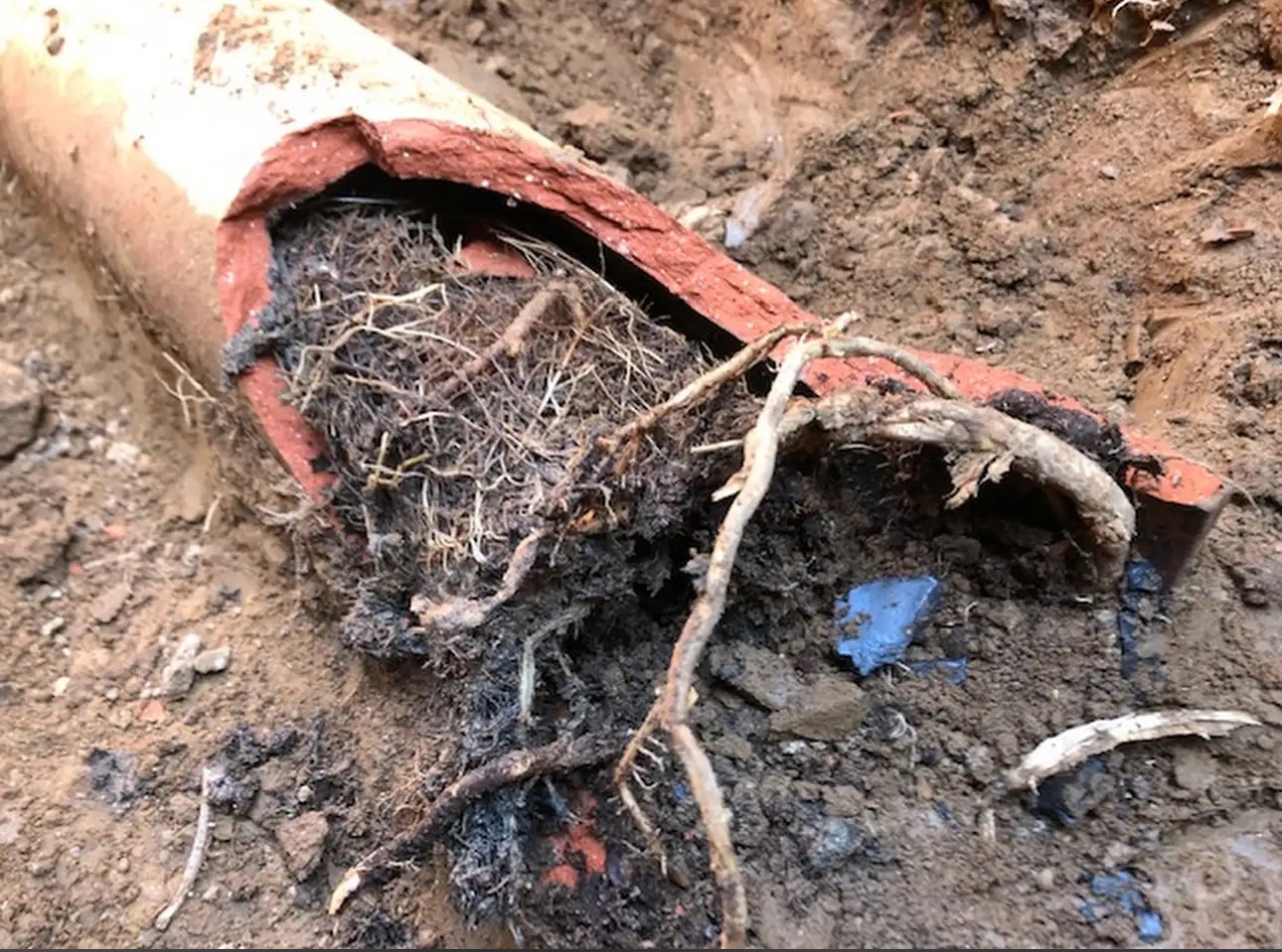 video camera inspection of sewer pipe by RT Olson Plumbing